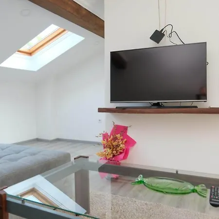 Apartment Penthouse